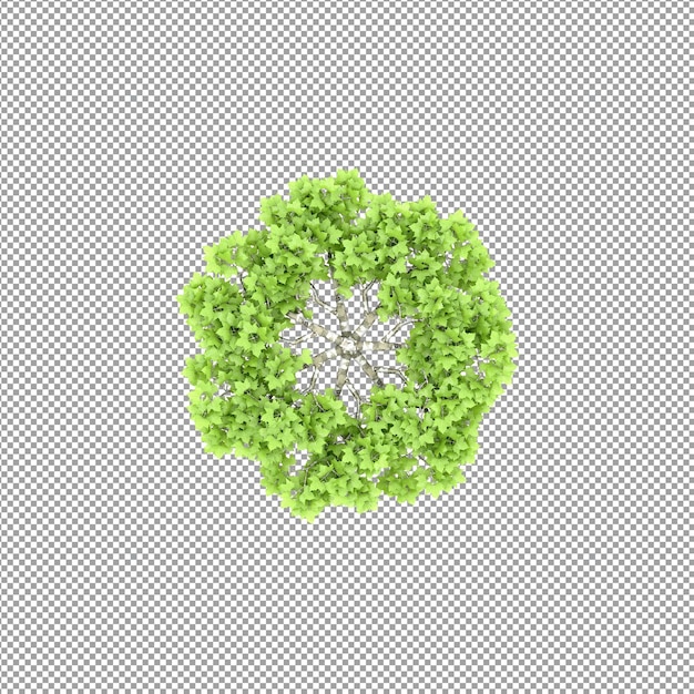 Plant isolated in 3d rendering