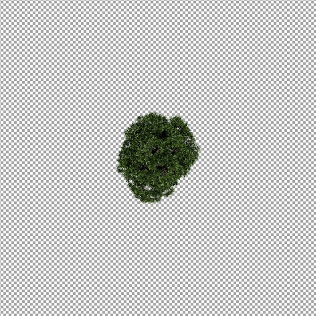 3 d レンダリングで分離された植物