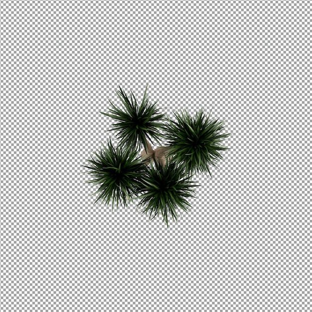 3 d レンダリングで分離された植物