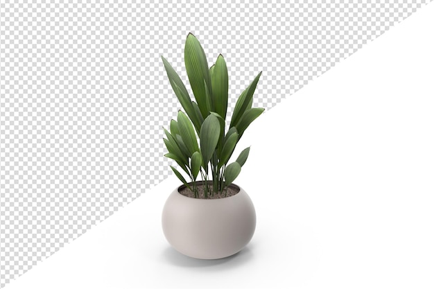 PSD plant isolated