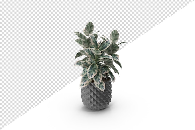 PSD plant isolated