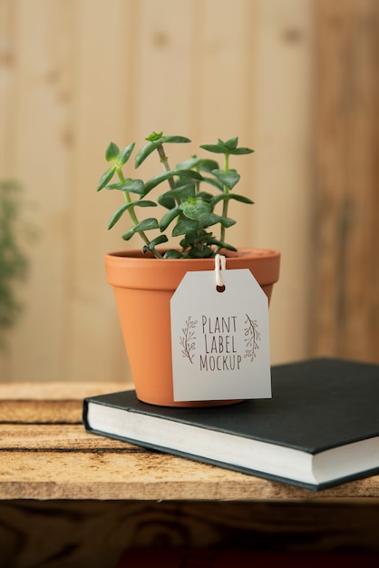 PSD plant label mockup design