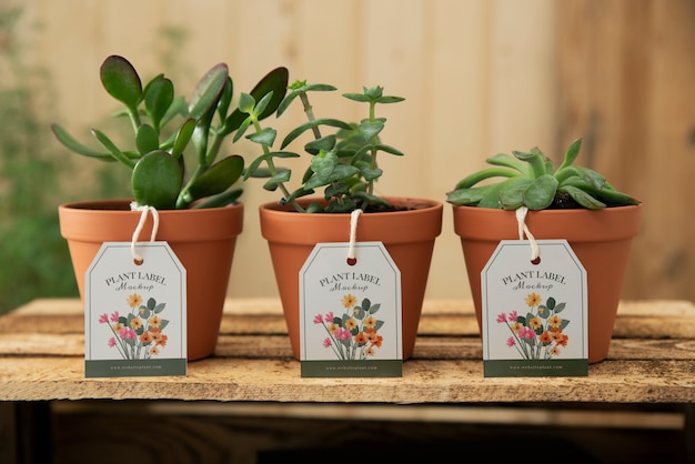 Plant label mockup design