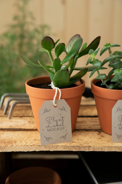 Plant label mockup design