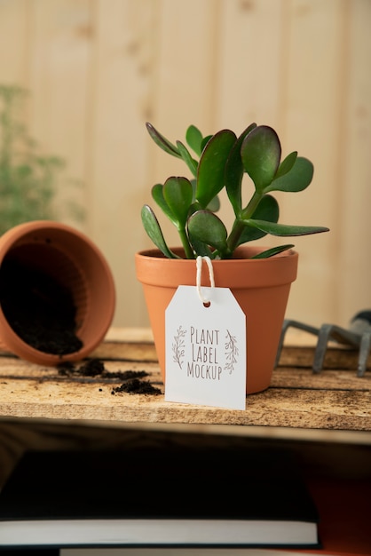 PSD plant label mockup design