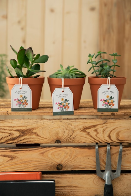 PSD plant label mockup design