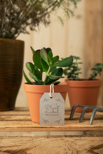 PSD plant label mockup design