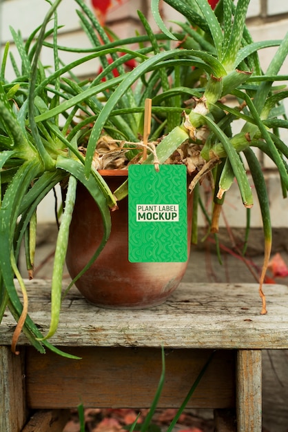 plant label mockup design