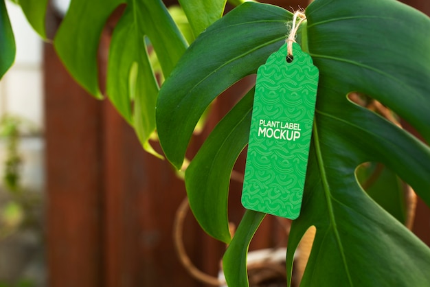 PSD plant label mockup design