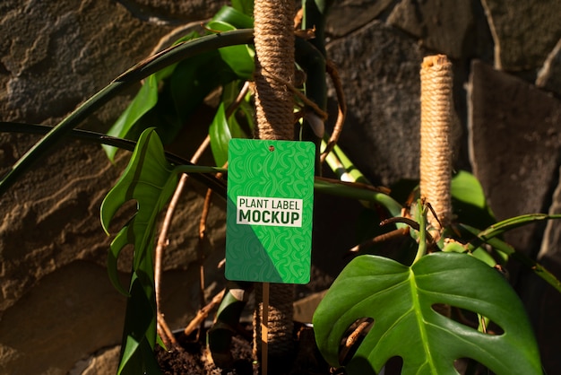 PSD plant label mockup design