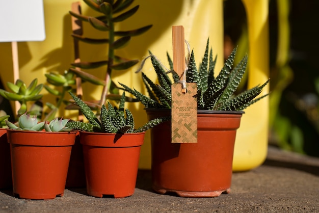 植物ラベル モックアップ デザイン