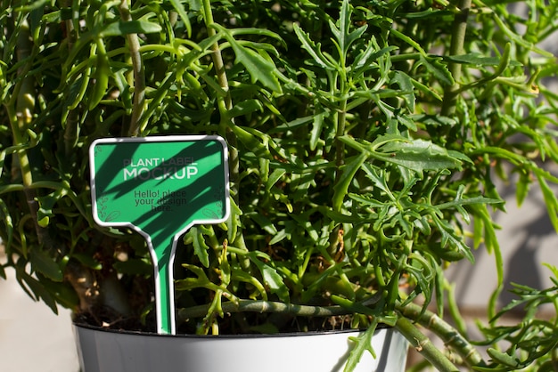 plant label mockup design