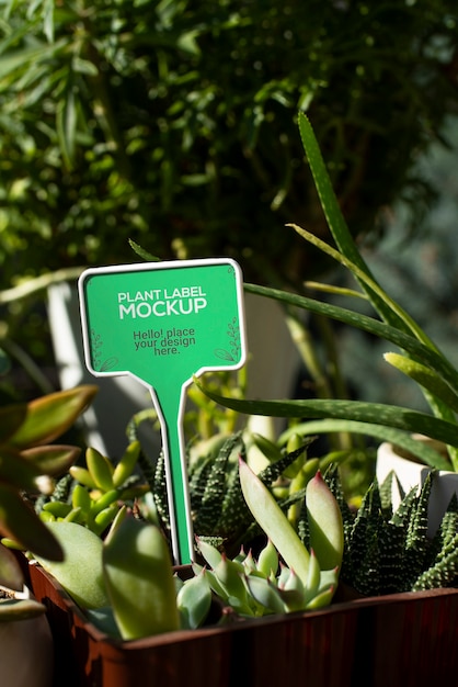 PSD plant label mockup design