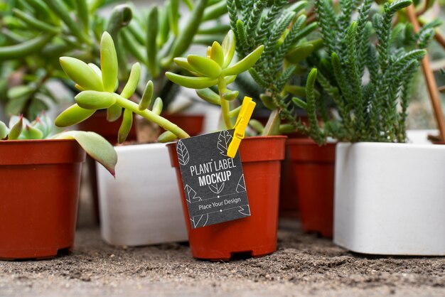 PSD plant label mockup design