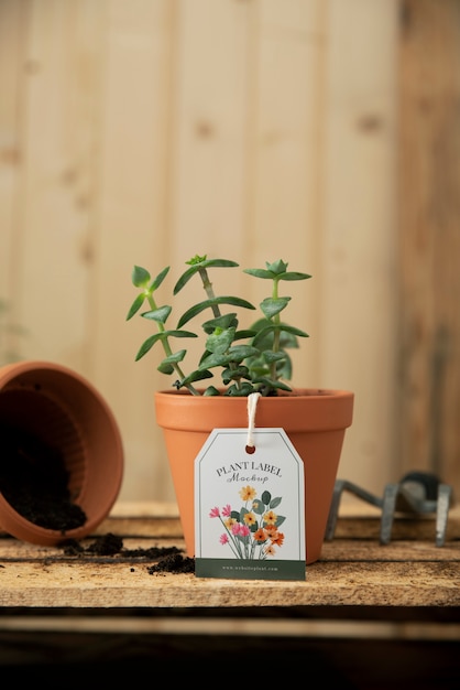 Plant label mockup ontwerp