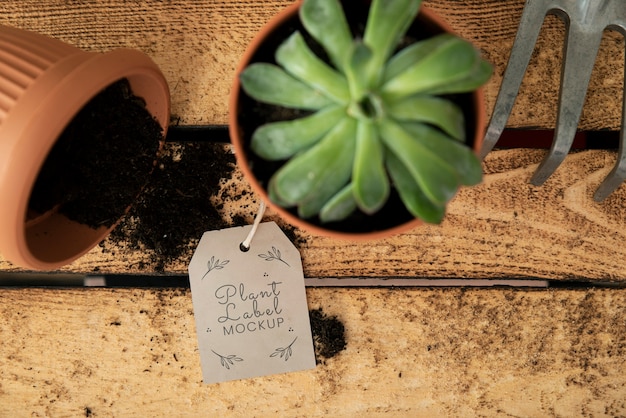 PSD plant label mockup ontwerp