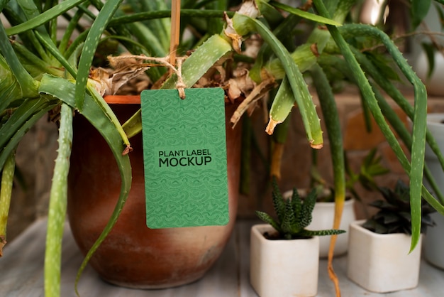 PSD plant label mockup ontwerp