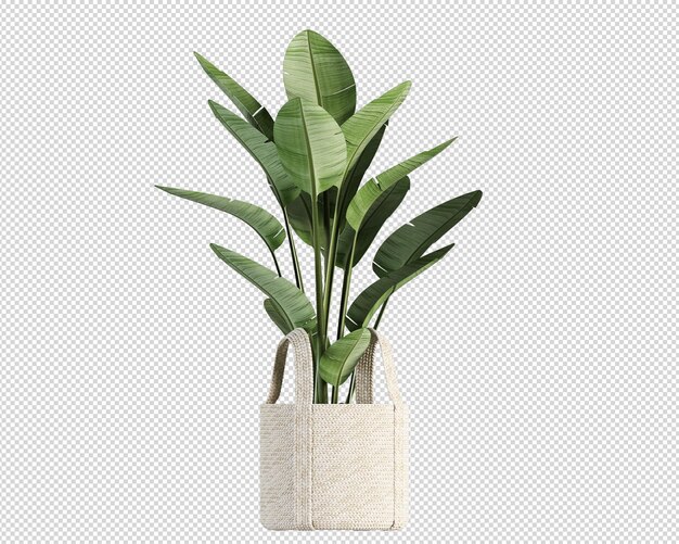 PSD plant mockup 3d rendering isolated rendered