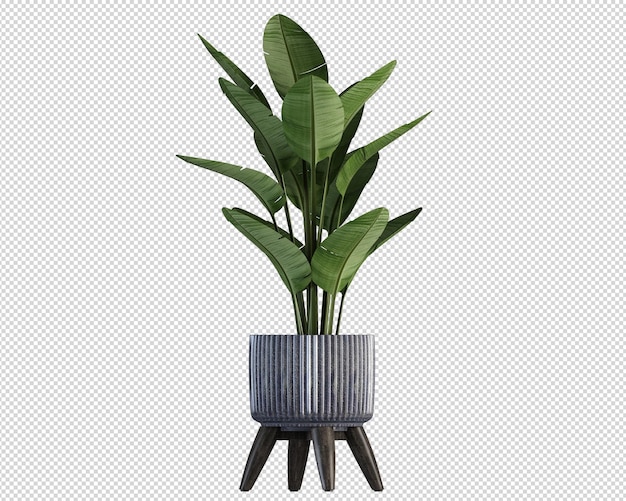 PSD plant mockup 3d rendering isolated rendered