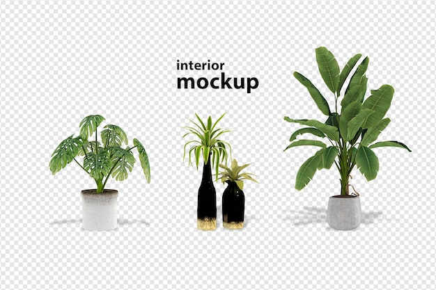 PSD plant mockup 3d-rendering