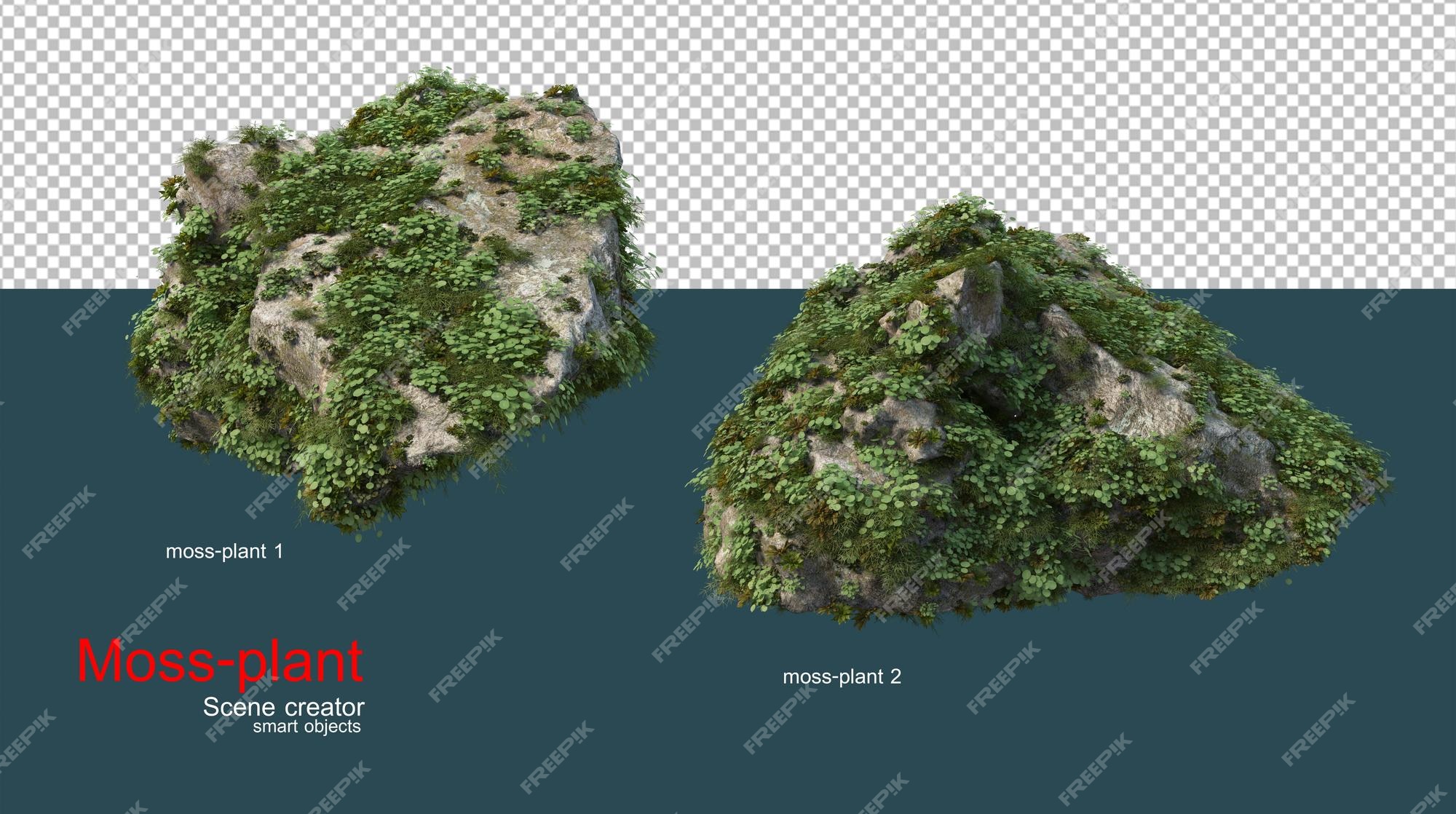 Premium PSD  Plant moss on stones and logs