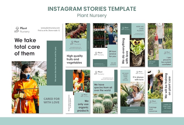 PSD plant nursery instagram stories template