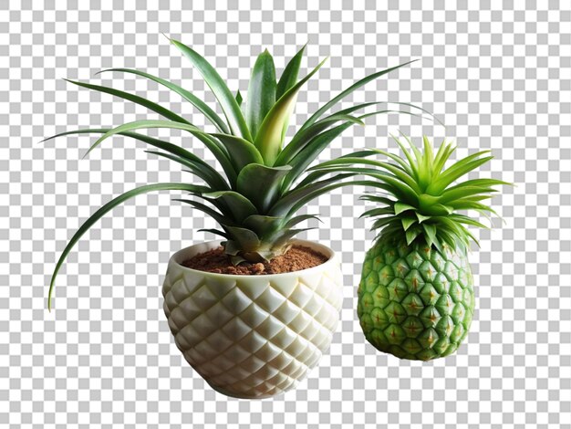 PSD a plant in a pineapple pot with a plant on transparent background