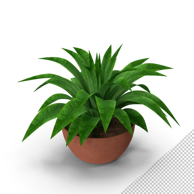 Plant png