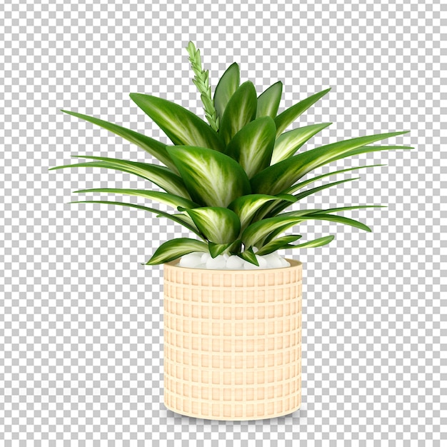 PSD plant in pot in 3d rendered isolated