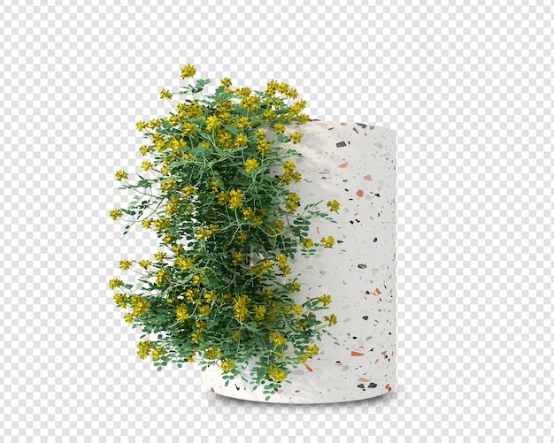 Plant in pot in 3d rendering isolated