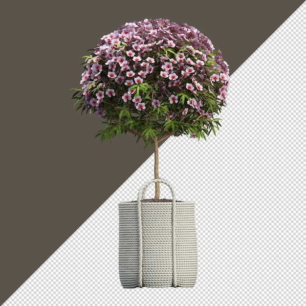 Plant in pot in 3d rendering isolated