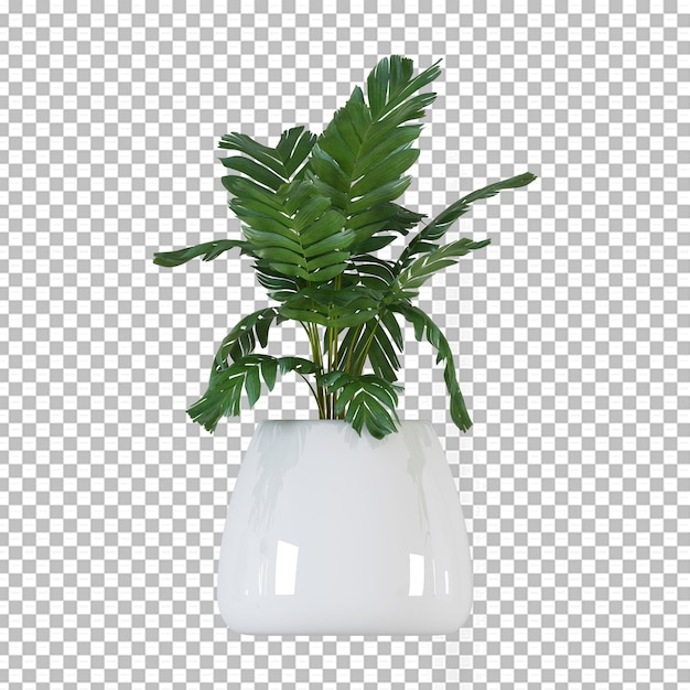 PSD plant in pot in 3d rendering isolated