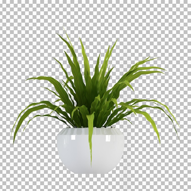 PSD plant in pot in 3d rendering isolated