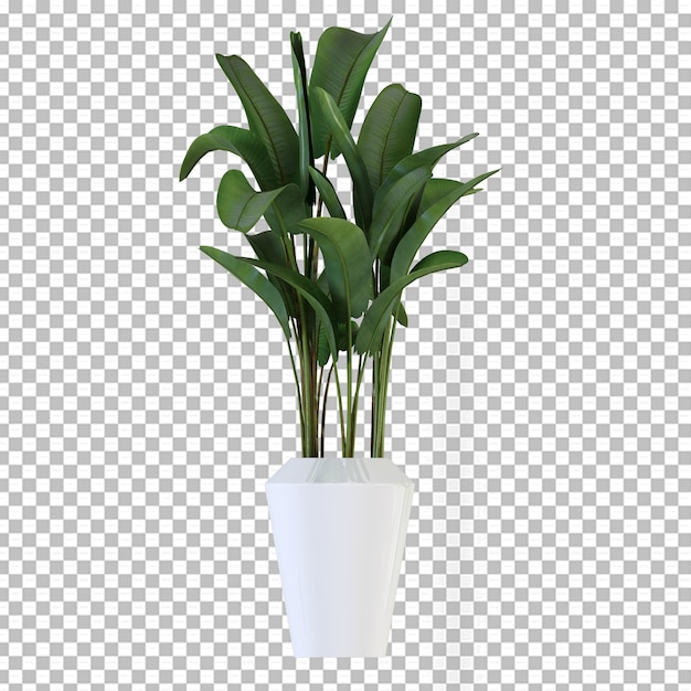 PSD plant in pot in 3d rendering isolated