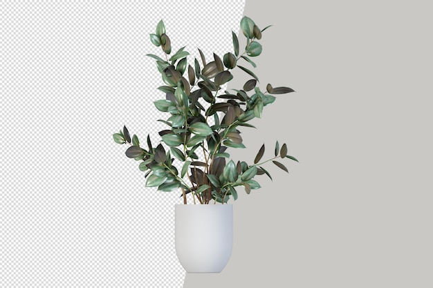 Plant in pot in 3d rendering isolated