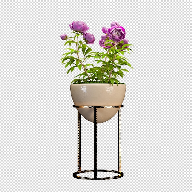 PSD plant in pot in 3d rendering isometric