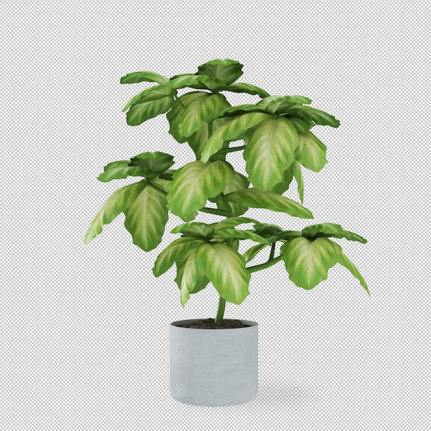 PSD plant in pot in 3d rendering