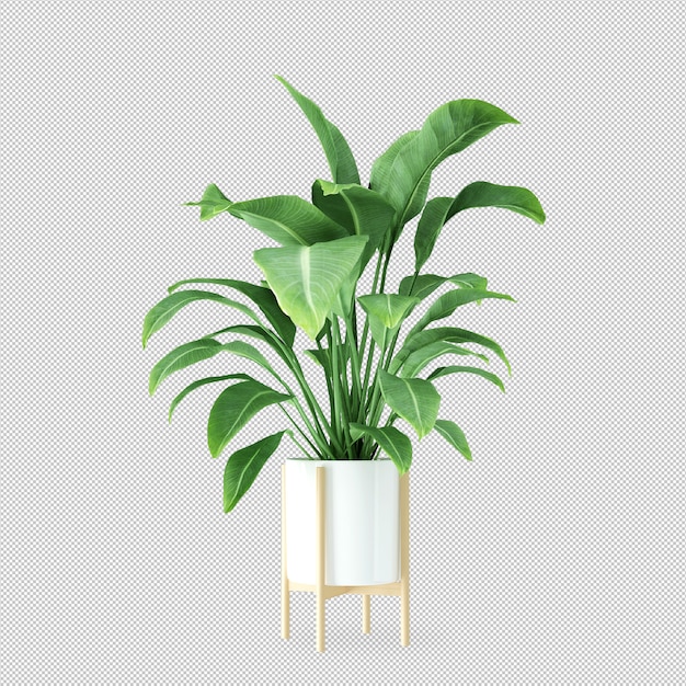 PSD plant in pot in 3d rendering