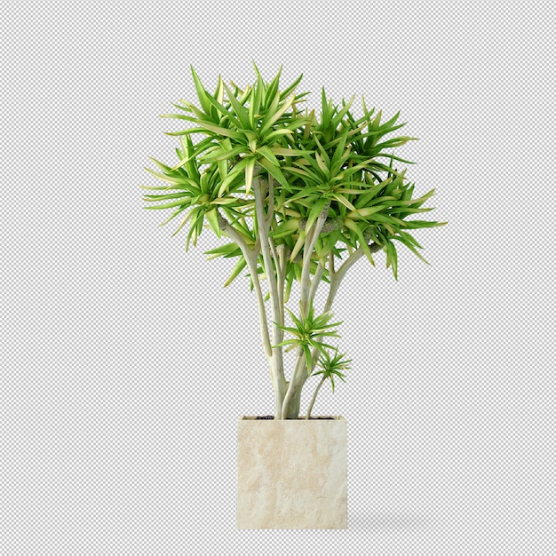 PSD plant in pot in 3d rendering