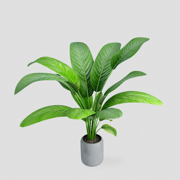 Plant in pot in 3d rendering