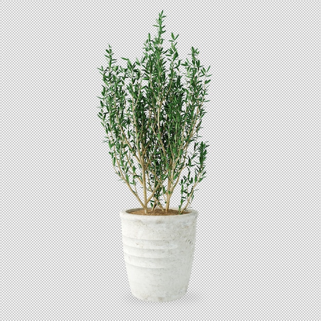 Plant in pot in 3d rendering