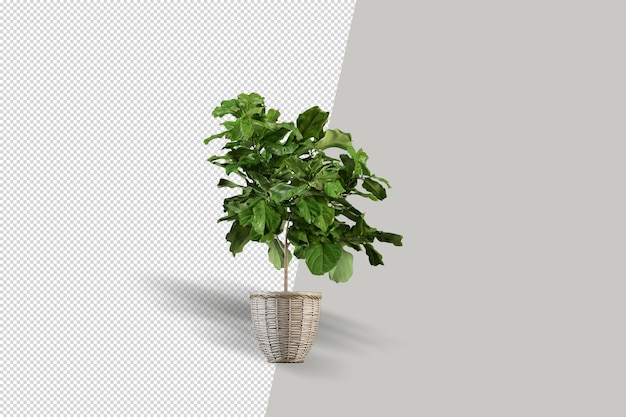 Plant in pot in 3d rendering