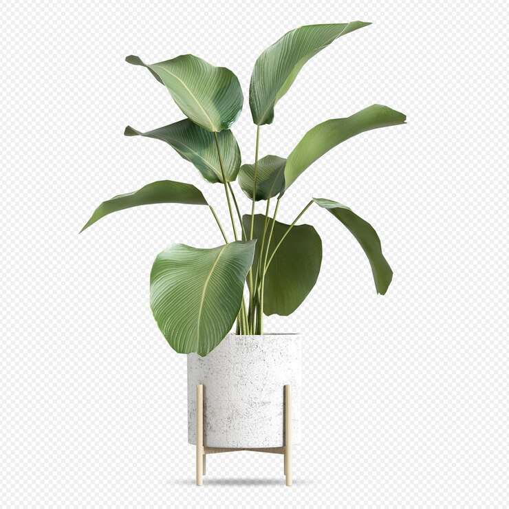PSD 3 dレンダリングで鉢植え