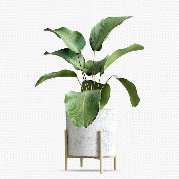 Plant in pot in 3d rendering