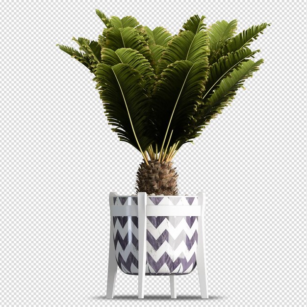 PSD plant in pot in 3d rendering