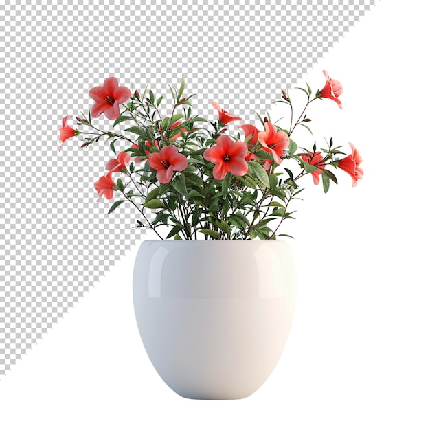 PSD 투명 한 배경 에 고립 된 식물 비 꽃