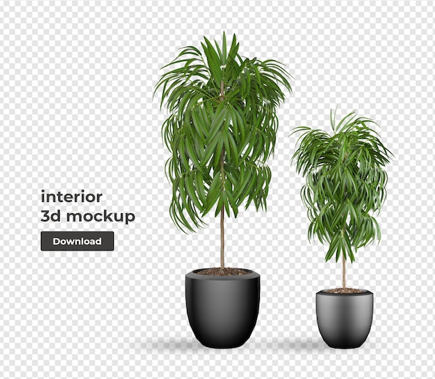 PSD plant in pot mockup decoration