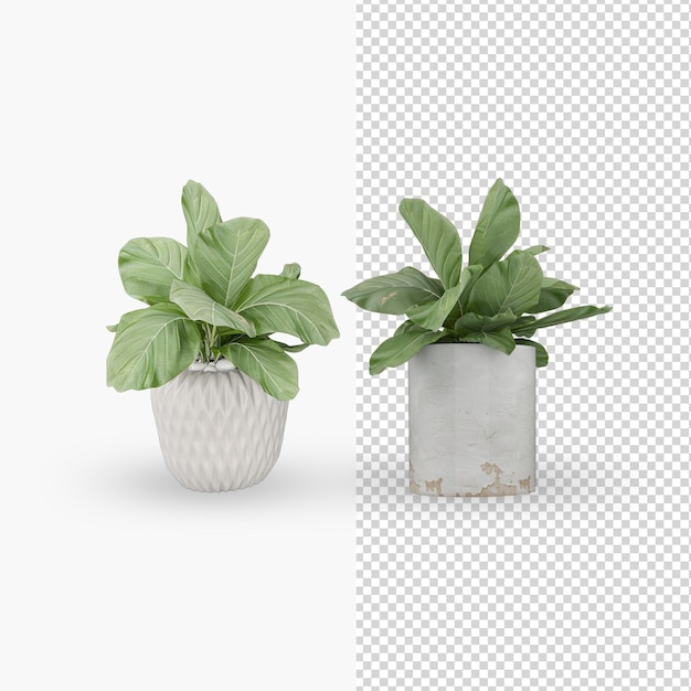 Plant in pot rendering decoration mockup