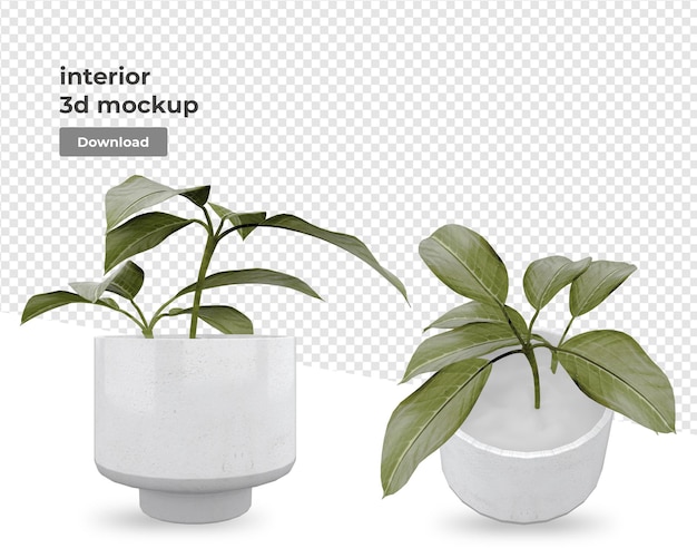Plant in pot in rendering isolated designs