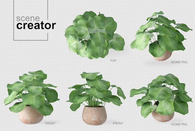 PSD plant in pot scene creator